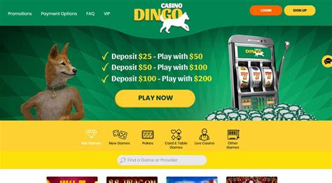  dingo online casino